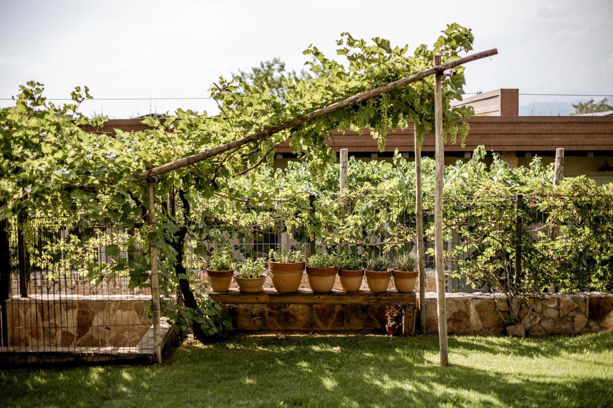 Le Greghe Suites Lazise Esterno foto